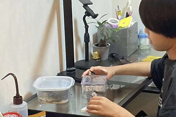 アリに夢中！昆虫好きの子どもの「もっと知りたい」はどこへ向かう？