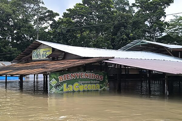 気候変動にどう向き合う？ペルー・アマゾンの農園が挑むアグロフォレストリー