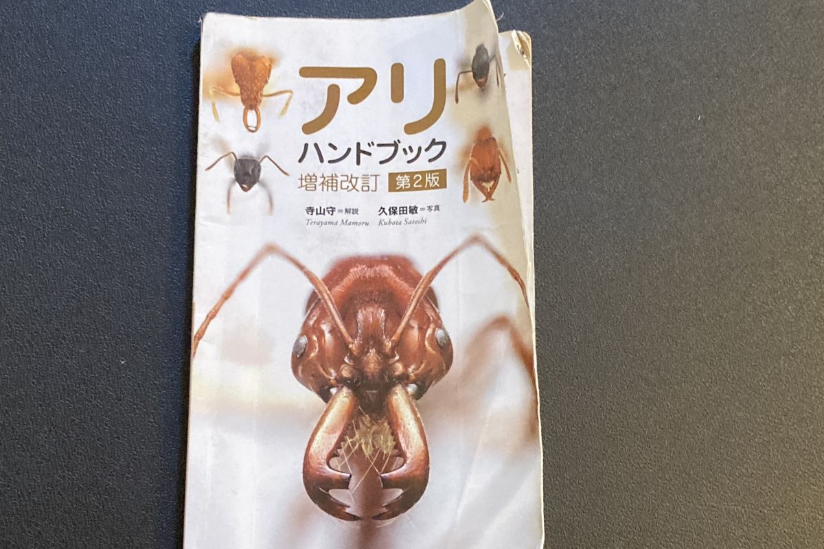 環境教育　探求　昆虫